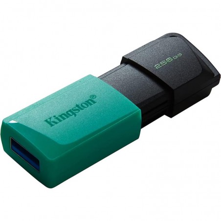 PEN DRIVE 256GB KINGSTON...