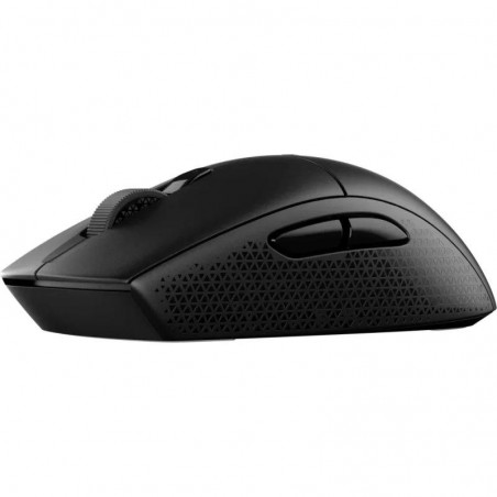 RATON GAMING CORSAIR M55...